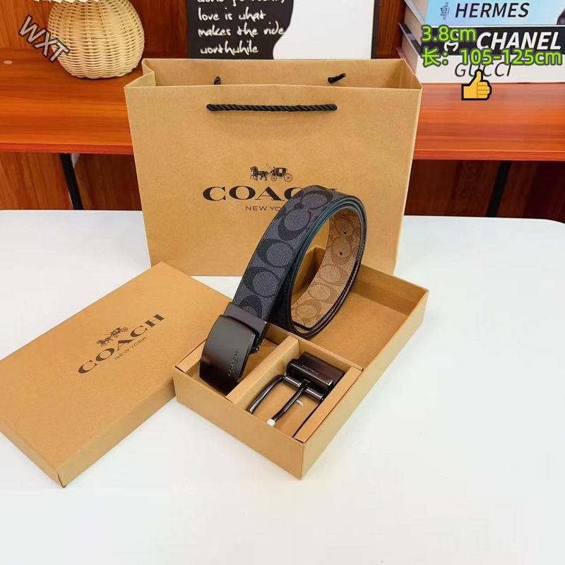 Coach belt 38mmX105-125cm 8L28